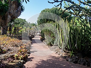Botanical garden on Gran Canaria