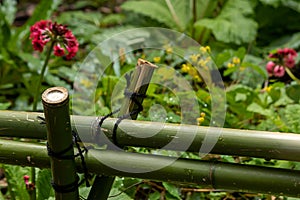 Botanical garden with a green bamboo fence latched together