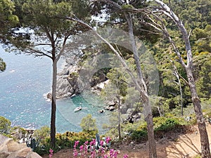 botanical garden green klif trees flouers costabrava see