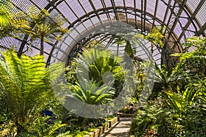 Botanical Garden