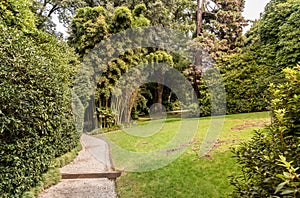 The botanical garden of the Isola Madre on the Lake Maggiore, Stresa, Italy