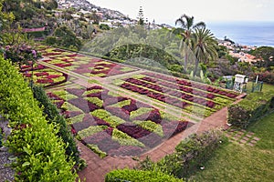 Botanical garden Jardim botanico in Funchal, Madeira island