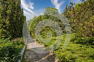 Botanical garden in Kamianets-Podilskyi, Ukraine