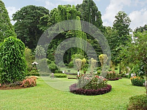 Botanical Garden, Kandy