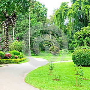 Botanical Garden, Kandy, Sri Lanka