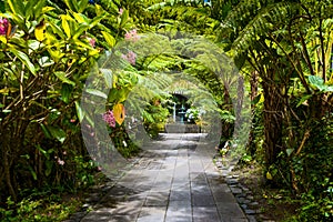 Botanical garden La Maison Folio, Salazie, Reunion Island photo