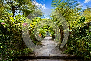 Botanical garden La Maison Folio, Salazie, Reunion Island photo