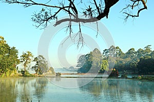 Botanical garden lake photo