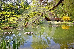 Botanical garden lake spring view