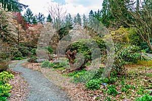 Botanical Garden Landscape