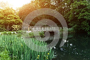 Botanical Garden Le Vallon du Stang Alar Brest France 27 may 2018 - small lake and bridge Summer season