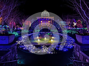 Botanical garden lit bright for the holiday photo