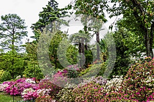 Botanical garden in Lombardy, Italy. Villa Taranto.