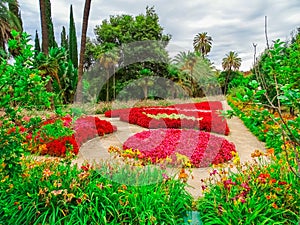 Botanical garden of Malaga with flowers
