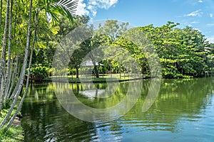 Botanical garden on Mauritius island