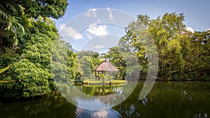 Botanical garden on Mauritius island