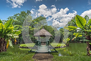 Botanical garden on Mauritius island