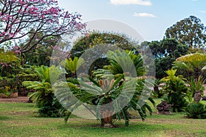 Botanical garden Monte