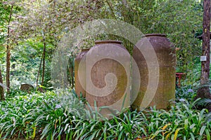 Botanical Garden Monte, Funchal, Madeira island