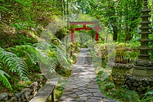 Botanical Garden Monte, Funchal, Madeira island