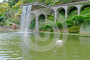 Botanical Garden Monte, Funchal, Madeira island