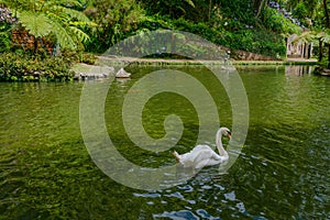 Botanical Garden Monte, Funchal, Madeira island