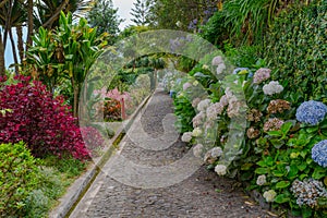 Botanical Garden Monte, Funchal, Madeira island