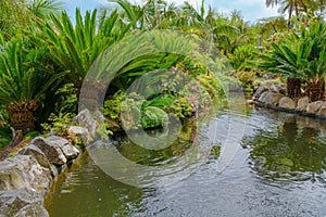 Botanical Garden Monte, Funchal, Madeira island