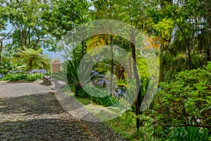 Botanical Garden Monte, Funchal, Madeira island