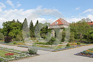 Botanical garden in munich with a blue sky