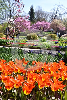 Botanical garden Munich