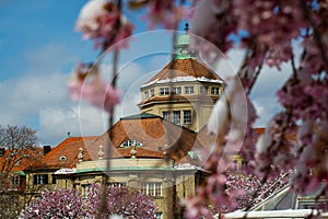 Botanical Garden in Munich in winter