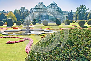 Botanical garden near Schonbrunn palace in Vienna