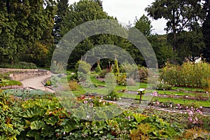 Botanical Garden,Oslo.
