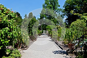 Botanical Garden, Padua, Italy