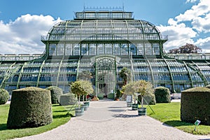Botanical Garden Palmenhaus Schonbrunn is a large greenhouse located in schonbrunn palace