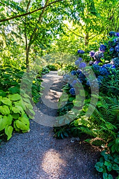 Botanical Garden Path