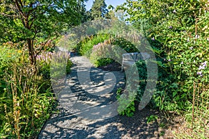 Botanical Garden Path 3
