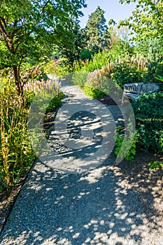 Botanical Garden Path 4