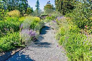 Botanical Garden Path 5