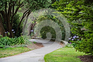 Botanical Garden Path