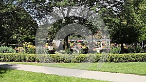 botanical garden with paths pathways wood overpass structure plants rock