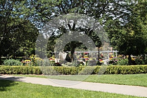 botanical garden with paths pathways wood overpass structure plants rock. p