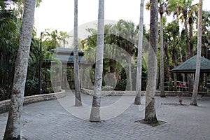 Botanical garden, paved area at Florida Institute of Technology, Melbourne Florida photo