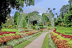 Botanical Garden of Peradeniya photo