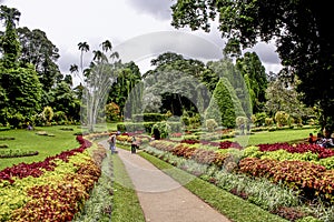 Botanical Garden of Peradeniya, Kandy