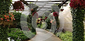 Botanical garden