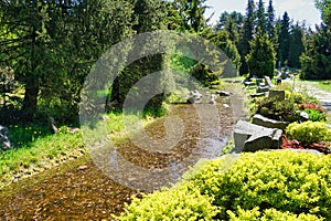 Botanical garden - pond and rocks