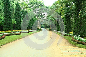 Botanical garden photo
