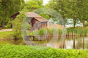 Botanical garden. Reeds in the wind and green nature by a lake or pond with wooden house and greenhouse